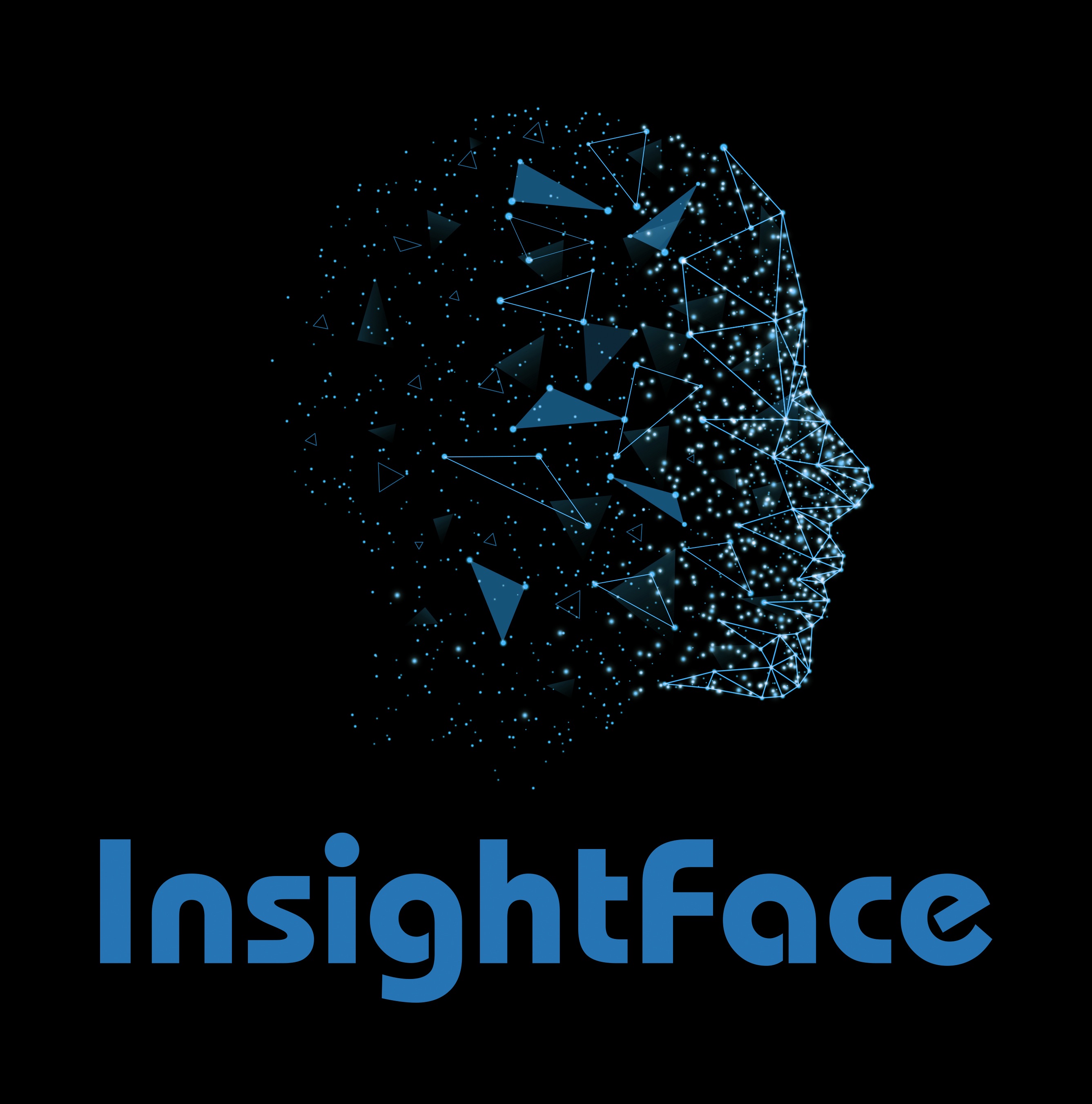 InsightFace Logo